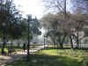 ParqueForestal.JPG (213371 bytes)