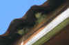 m2.JPG (152856 bytes)